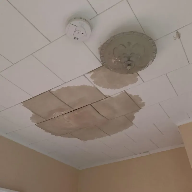 Ceiling Water Damage Repair in Elbow Lake, MN